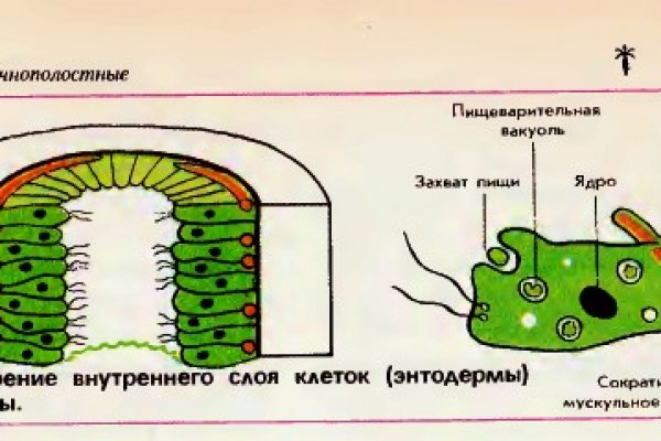 Кракен нов
