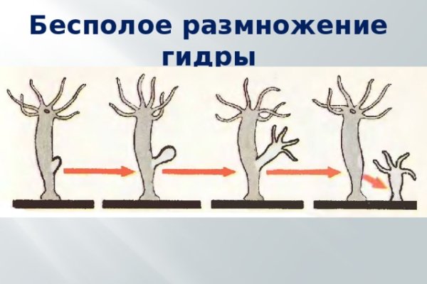 Что такое кракен площадка