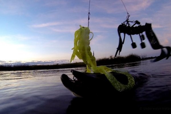 Craken14 at