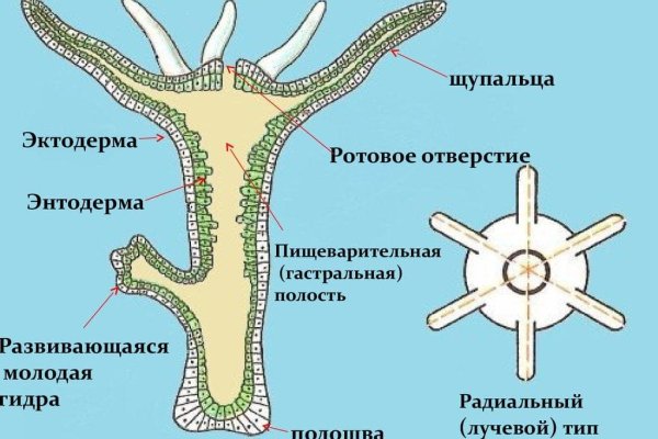 Кракен маркетплейс в питере