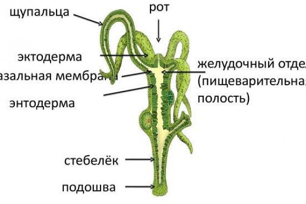 Кракен 2krnk cc