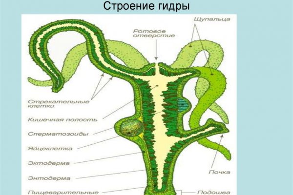 Как пополнить кошелек кракена